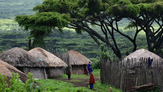 Tanzanie